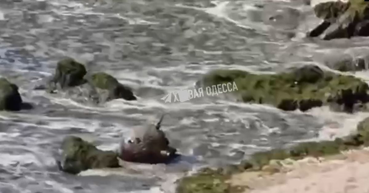 скриншот з відео