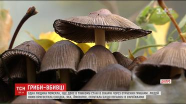 Через отруєння блідими поганками у Дніпрі померла жінка, ще двоє – в тяжкому стані
