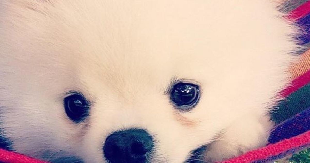 Пенисгейт Ленни Кравица и уникальный ракурс Земли. Топ-10 позитивных новостей недели