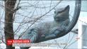 Вулиці Одеси поступово заповнюють скульптурами відомих котів