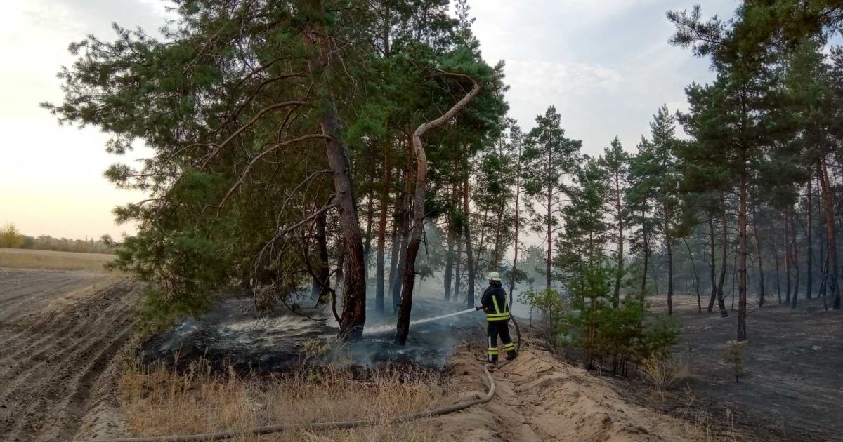 На передовій на Донбасі спалахнули дві лісові пожежі