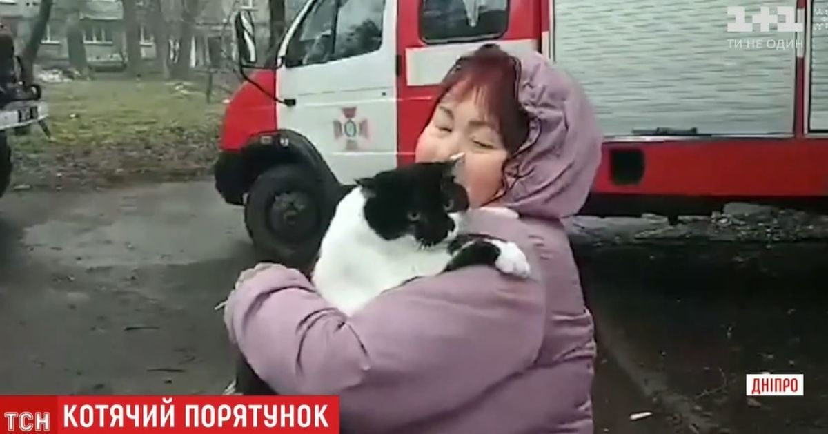 У Дніпрі рятувальники зняли з дерева кішку, яка з переляку відмовлялась злазити