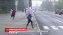 Через неправильно обладнані пішохідні переходи щодня в Україні гине 10 людей