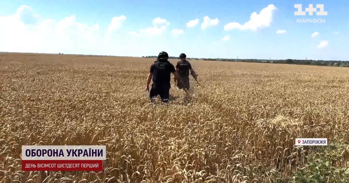Рятувальники шукають вибухівку на полі