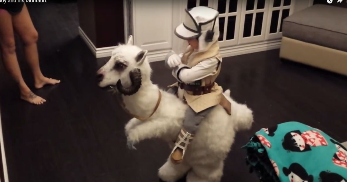 Неймовірний костюм на Геловін та порятунок людини маленьким слоненям. Тренди соцмереж