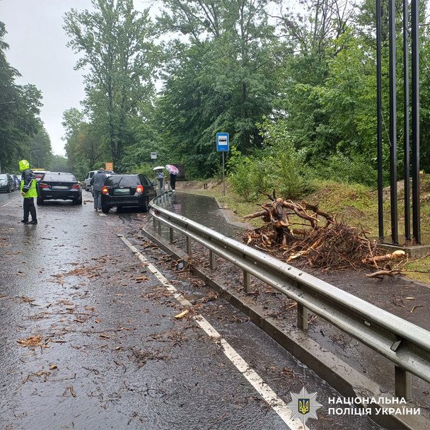 Недалеко от Львова на BMW упало дерево. / © Национальная полиция Украины
