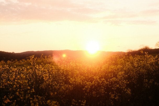 21 червня в Україні і світі святкують День літнього сонцестояння / © unsplash.com