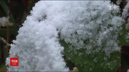 Північ Китаю несподівано засипало снігом