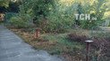 В Винницкой области директор школы отхлестал ученика