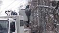 У Київській області ціле село залишилося без електропостачання через бобрів