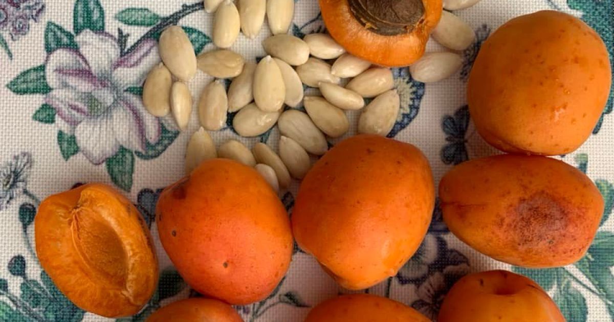 В Украине ожидают низкий урожай абрикосов.