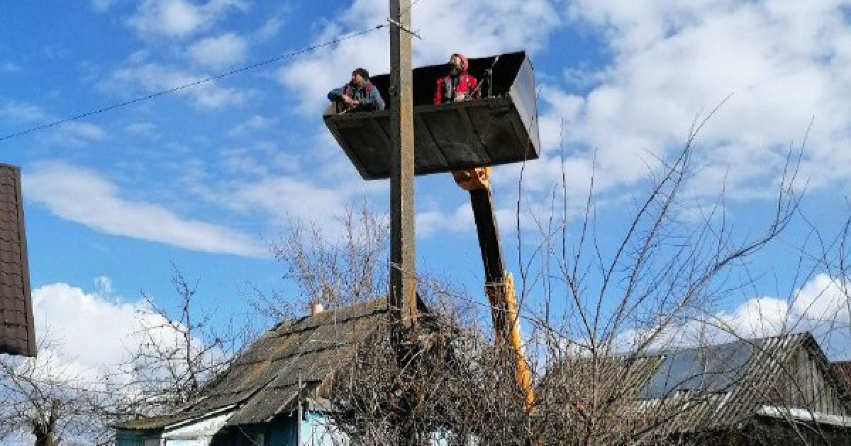 У Київській області місцеві жителі допомогли лелеці полагодити гніздо