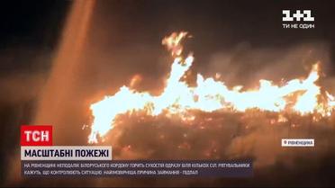 Новости Украины: пожары в Ровенской области охватили несколько сел