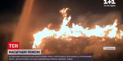 Новости Украины: пожары в Ровенской области охватили несколько сел