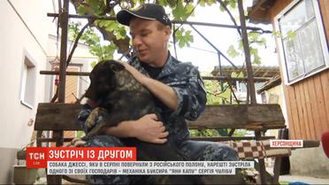 Освобожденный моряк Сергей Чулиба встретился с собакой Джесси после 10 месяцев разлуки