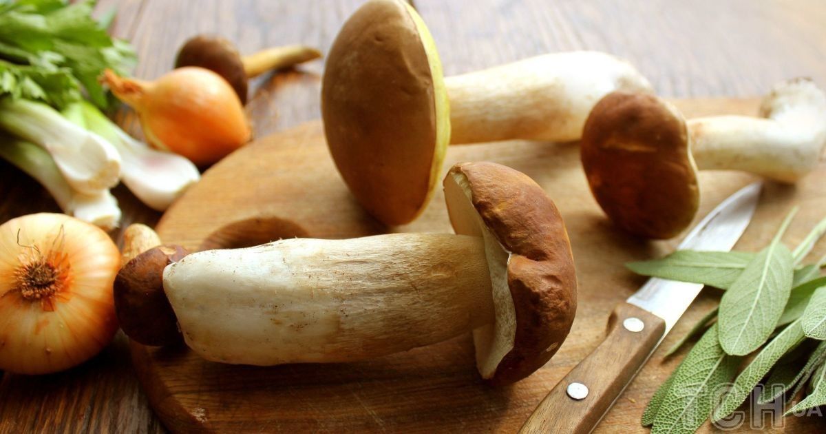 Суп-гуляш з грибів: простий рецепт