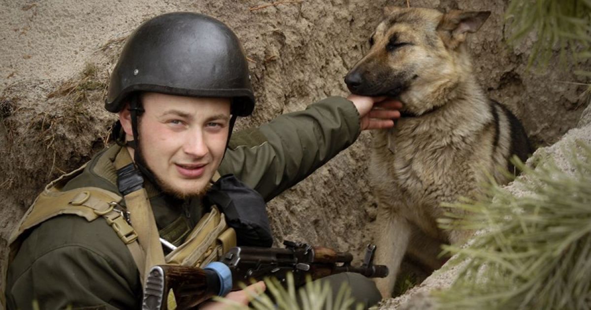 "Коли я йду на позицію, Фауст біля мене": у Нацгвардії з'явилася німецька вівчарка, яка допомогає боронити Україну
