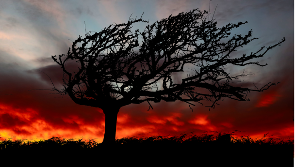 Погода на сегодня, 8 декабря: синоптики предупредили о штормовом ветре