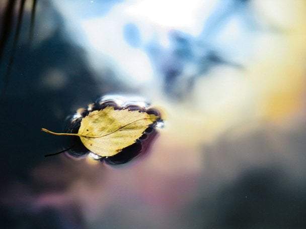 Народні прикмети 5 вересня / © unsplash.com
