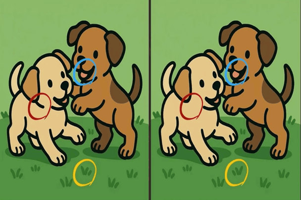 Правильна відповідь / © Фото з відкритих джерел