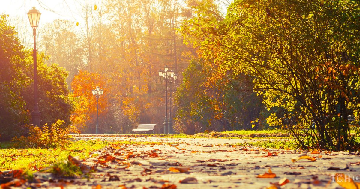 Гороскоп на 18 вересня для всіх знаків Зодіаку