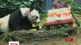 У Гонконзі приспали найстарішу у світі панду