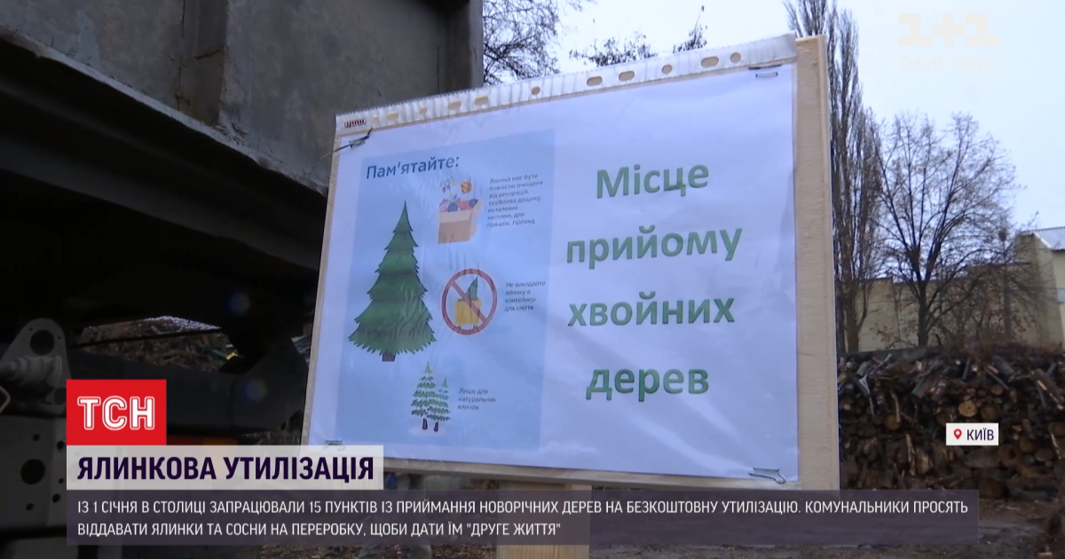 У Києві запрацювали пункти безкоштовної переробки ялинок