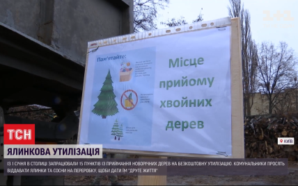 У Києві запрацювали пункти безкоштовної переробки ялинок