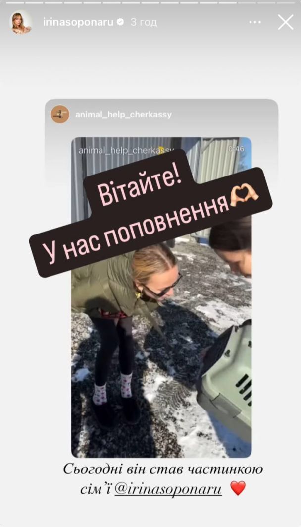 В семье Ирины Сопонару произошло пополнение / © instagram.com/irinasoponaru