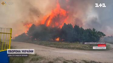 Миколаїв на передовій війни: що там відбувається просто зараз і чому горять ліси навколо