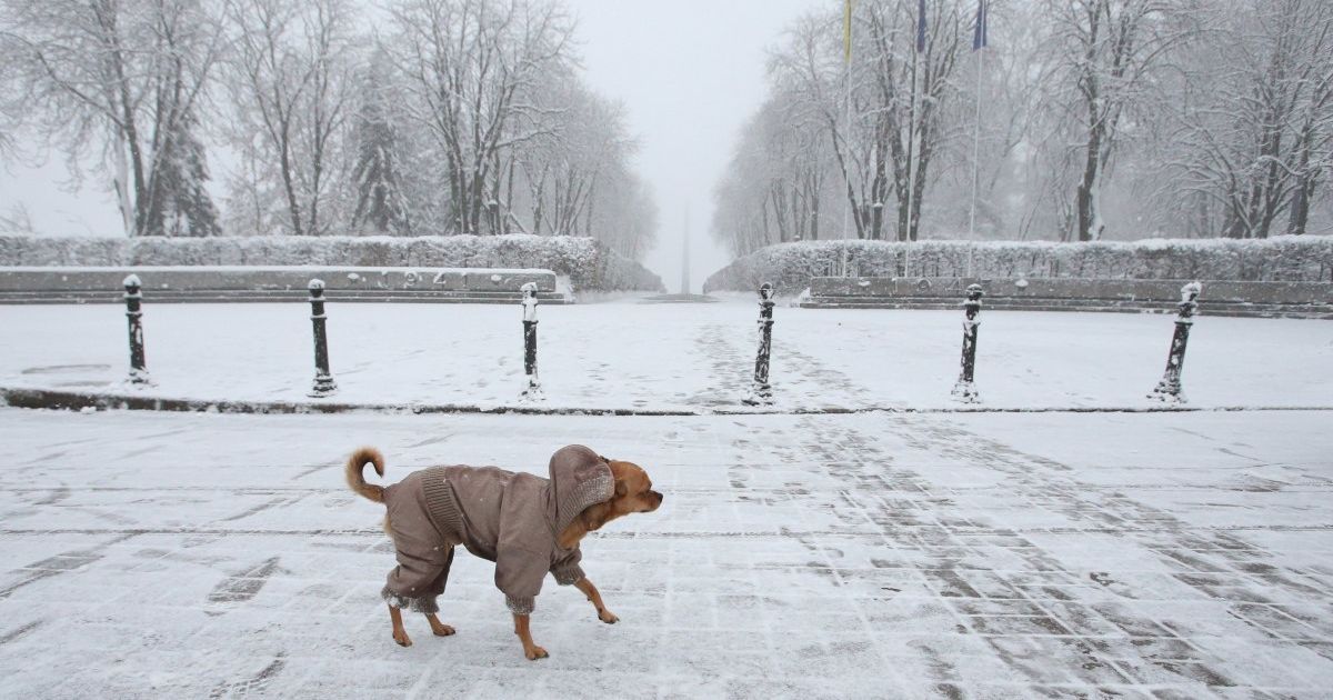Снижение температуры и снег в большинстве областей: прогноз погоды в Украине на среду, 1 декабря