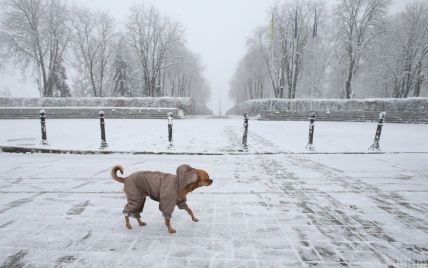 Зниження температури та сніг у більшості областей: прогноз погоди в Україні на середу, 1 грудня