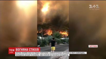 Масштабна пожежа охопила ліси на півдні Туреччини