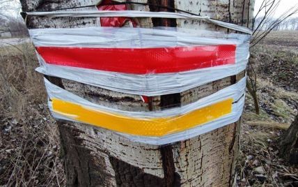 Нові мітки окупантів: українців просять зривати стрічки з дерев, що світяться