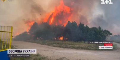 Николаев на передовой войны: что там происходит прямо сейчас и почему горят леса вокруг