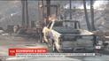 Пожары в Калифорнии: жертвами стихии стали 44 человека