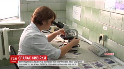 На Сумщині виявили рештки тварин зі спорами сибірки