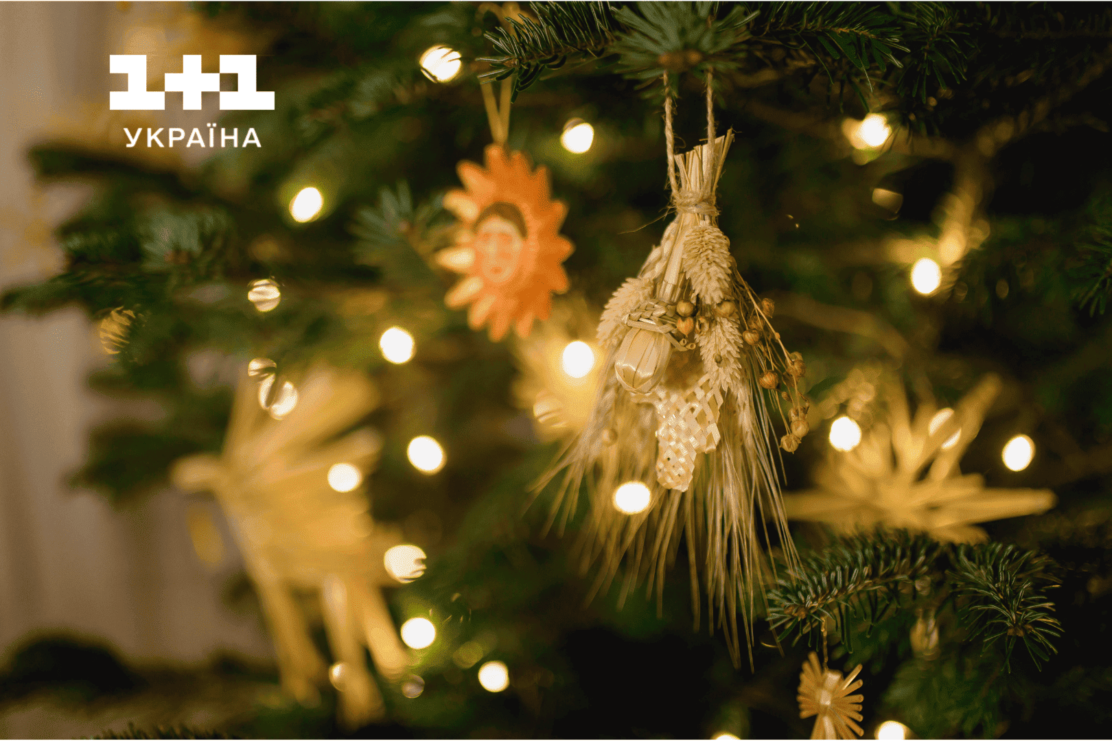 Кадры из проекта 