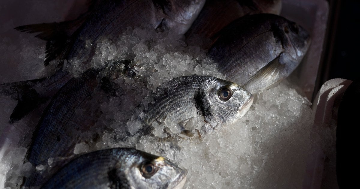 Рибу вважають необхідним елементом здорового раціону