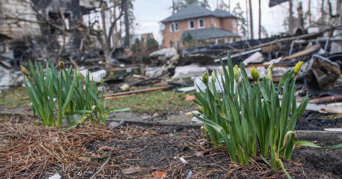 Фото: Український центр безпеки та співпраці