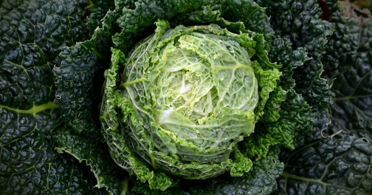 8 жовтня: цікаві звичаї, обряди та народний прогностик