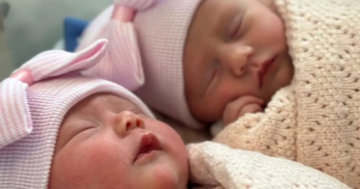 Близнецы / Фото: tiktok.com/@thewardtwins24
