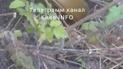 Фото: Телеграм-канал "Київ INFO"