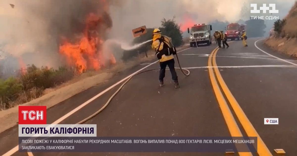 Площадь пожаров в калифорнии побила исторические показатели