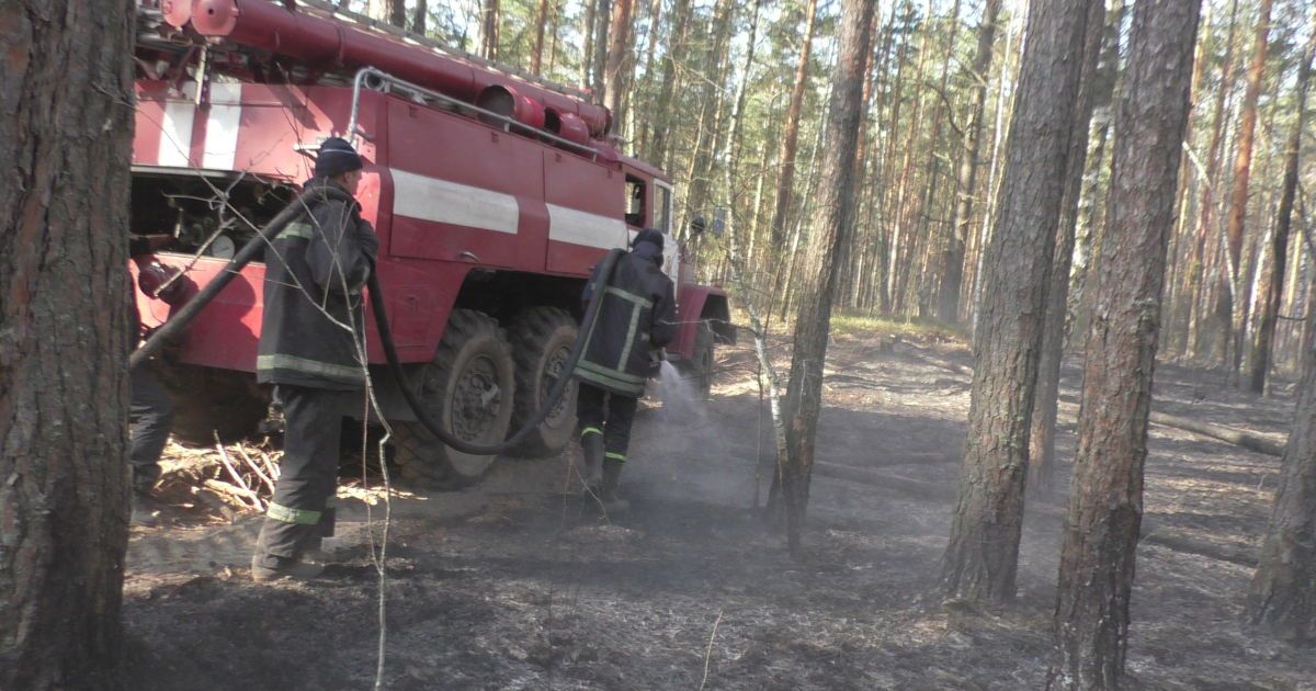 Пожежники загасили три осередки пожежі у Житомирській області
