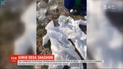 СБУ ликвидировала нелегальное производство психотропных веществ - лабораторию возглавлял преподаватель химии