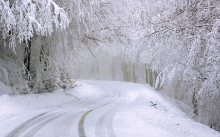 В Украину возвращается сильный снег и метели: прогноз погоды на понедельник, 17 января