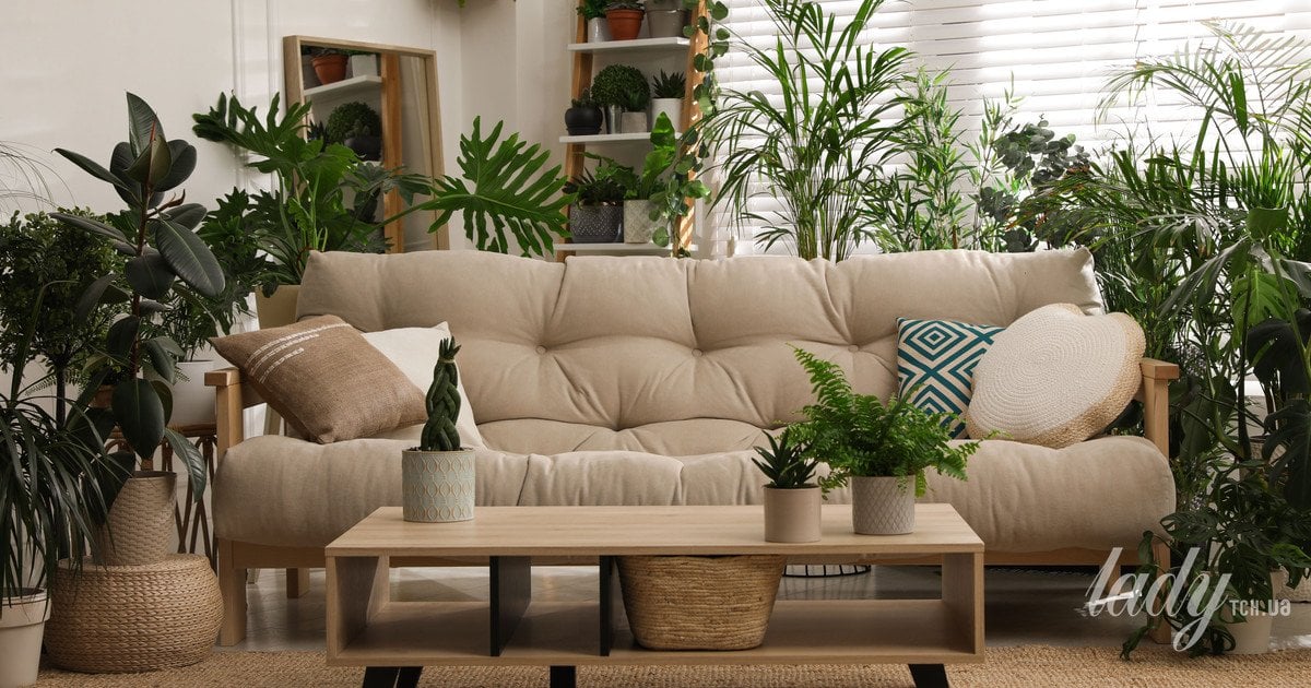 Вещи, которые мы делаем только на Рождество, но стоит практиковать дома круглый год