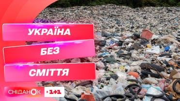 Украина без мусора: сколько мусора остается после праздников и почему важно его сортировать
