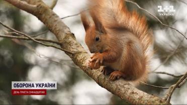Резкое похолодание: в Украине ожидается температура до минус 18